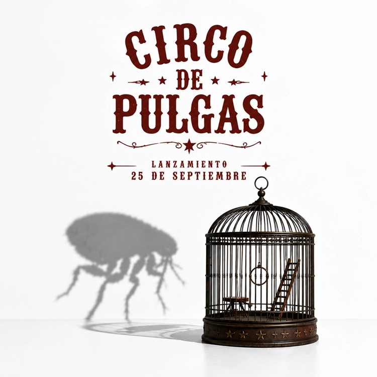 TO-XO - Circo De Pulgas
