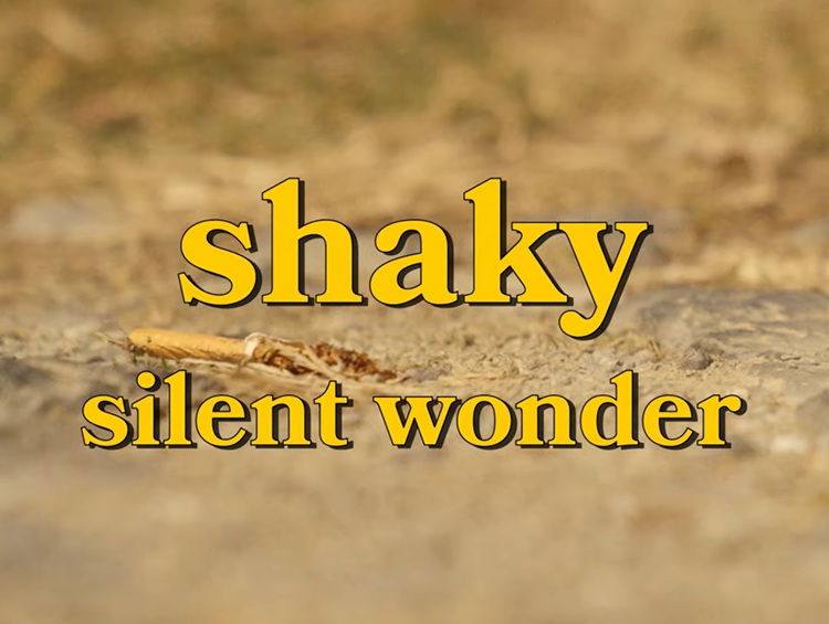 Shaky - Silent Wonder